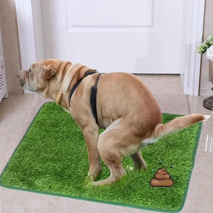 Tapis d'herbe pour chien lavable ultime – Pelouse artificielle réutilisable et anti-odeurs pour l'en