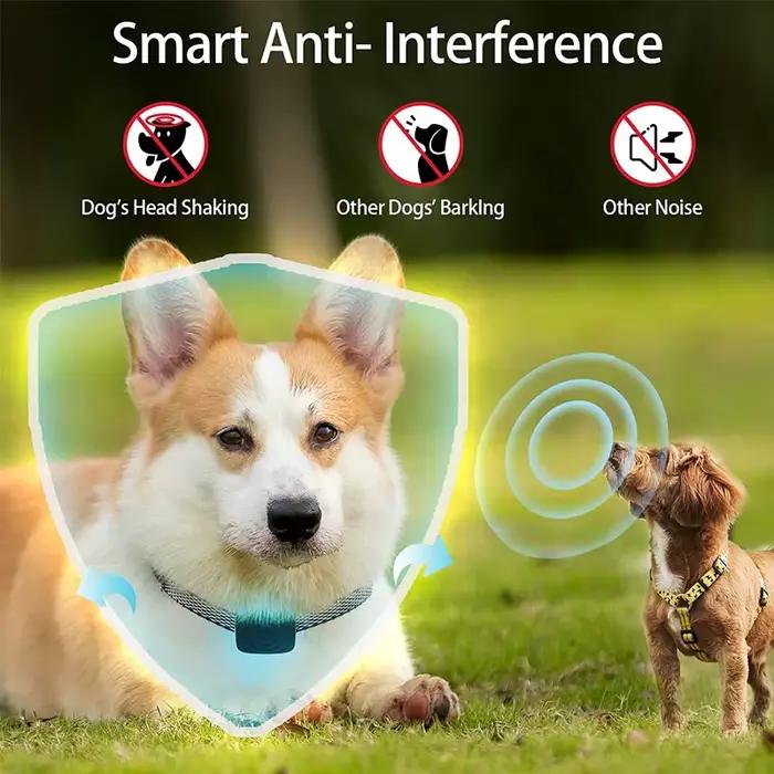 Dispositif Anti-aboiement pour chien, USB, Ultra sonique, électrique Intelligent, collier d'entraîne