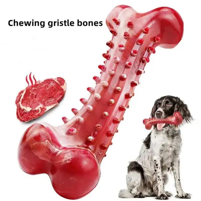 Jouets pour chiens, affûtage des dents