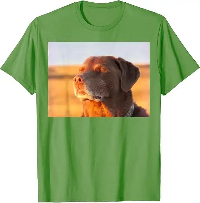 T-shirt amusant avec un motif de chien, un labrador retriever et un slogan humoristique, style Y2K, idéal pour les amoureux des chiens, vêtement graphique à manches courtes, t-shirt en coton doux, t-s