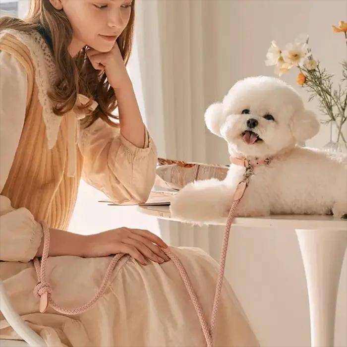 Ensemble collier et laisse tressé en cuir PU et nylon pour chiots et petits animaux de compagnie élégant pour occasions spéciales